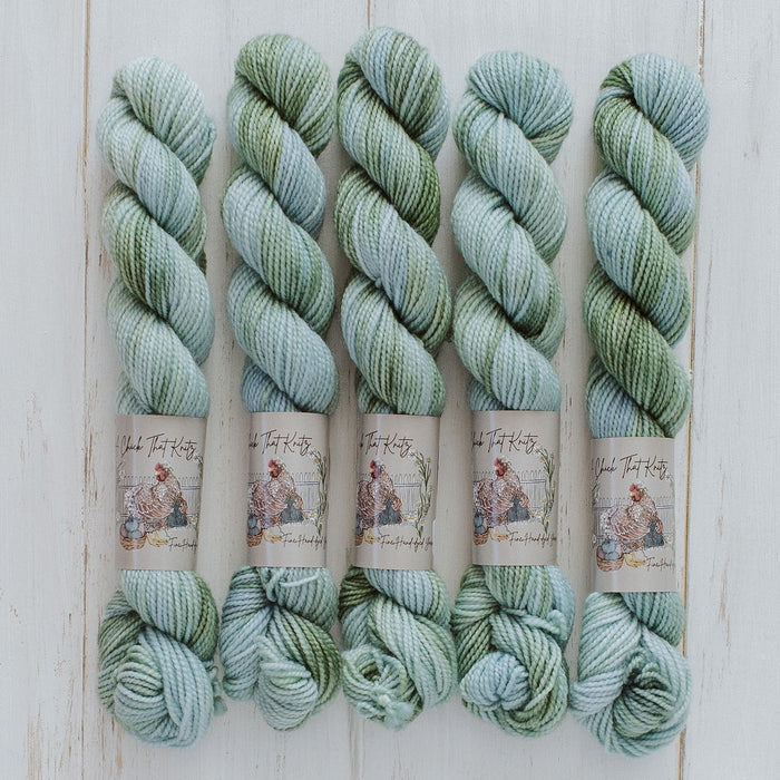 "Country Sage" Mini Sock Hand-dyed Yarn