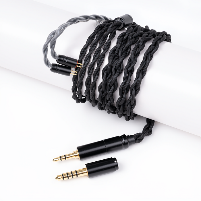 COZOY D2 IEM