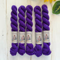 "Fairy Kingdom" - Singles Fingering Mini Hand-Dyed Yarn