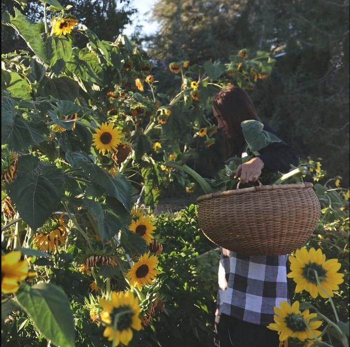 Farm & Folk Quilt Alchemy By: Sara Larson Buscaglia