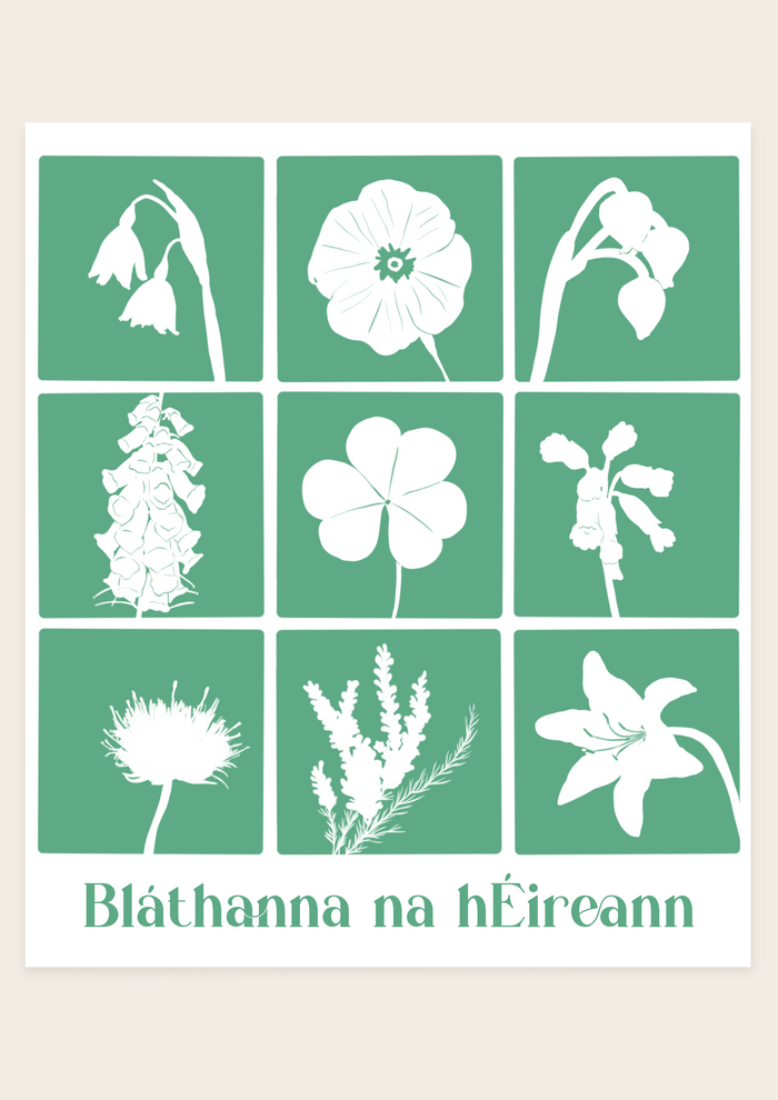 Flowers of Ireland - Bláthanna na hEireann Irish Print