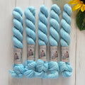 "Frozen" Mini Deluxe Sock Hand-dyed Yarn