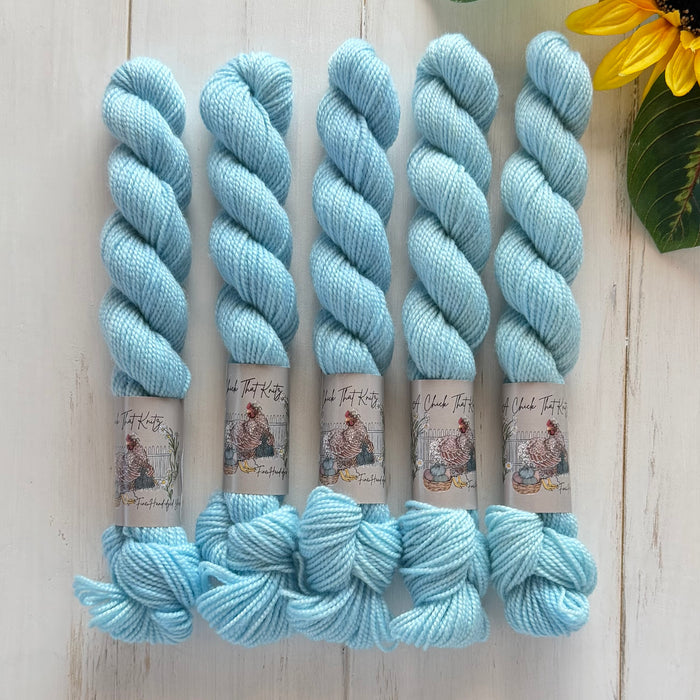 "Frozen" Mini Deluxe Sock Hand-dyed Yarn