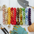 Garden Collection Mini Skein Set Hand-Dyed Yarn