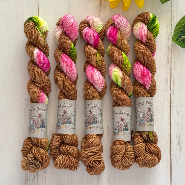 "Hibiscus" Mini Sock Hand-dyed Yarn - Assigned Pooling