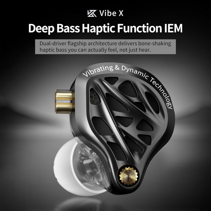 KZ Vibe X 2DD IEM With Mic