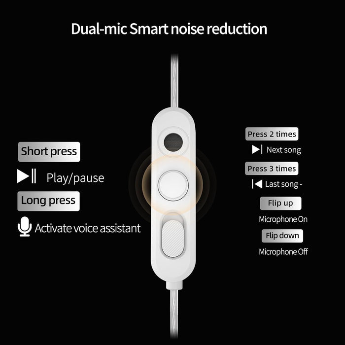 KZ Vibe X 2DD IEM With Mic