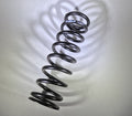 Main spring