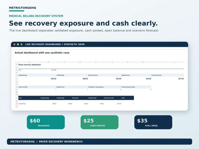 Medical Billing Underpayment Tracker Excel - product preview 4