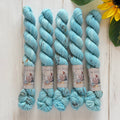 "Robin's Egg" Mini Sock Hand-dyed Yarn