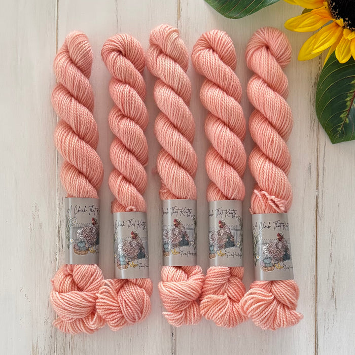 "Seine Sunset" Mini Sock Hand-dyed Yarn