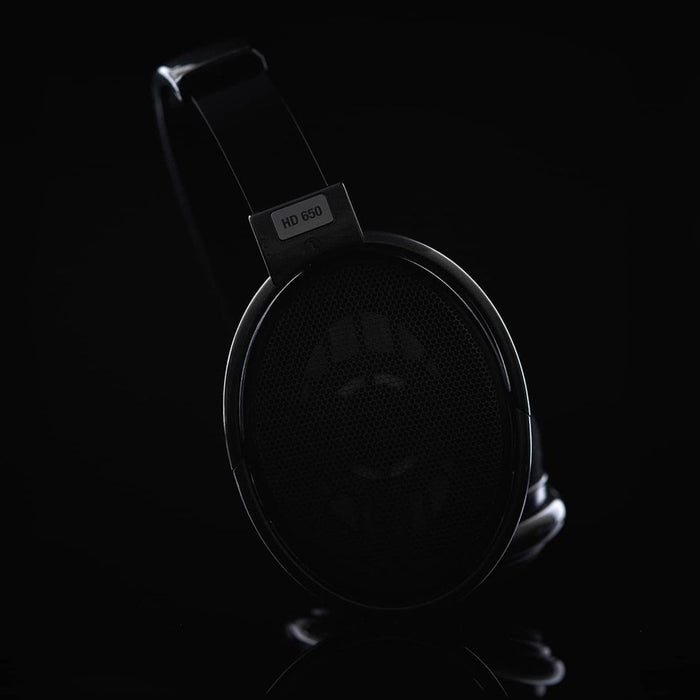 Sennheiser HD 650 Open Back Headphones