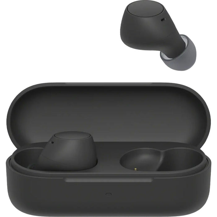 Sony WF-C510 True Wireless Earbuds - The Audio Store