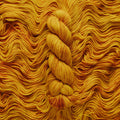 "Squash" Hand-Dyed Yarn – Garden Collection