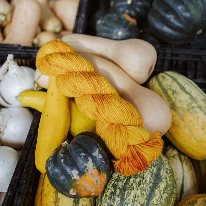 "Squash" Hand-Dyed Yarn – Garden Collection