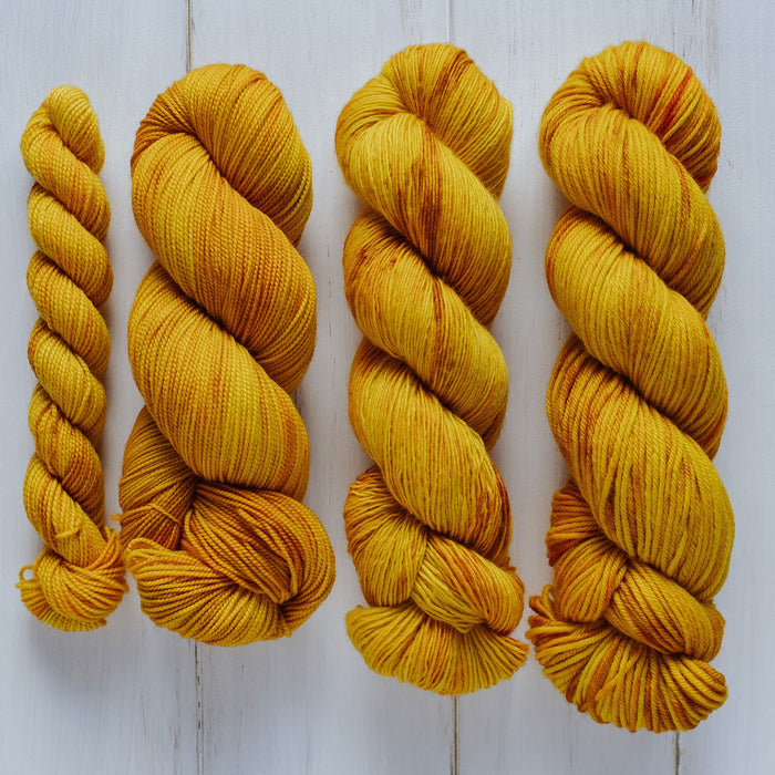 "Squash" Hand-Dyed Yarn – Garden Collection