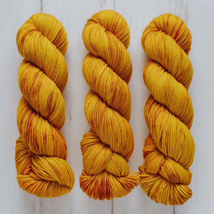 "Squash" Hand-Dyed Yarn – Garden Collection