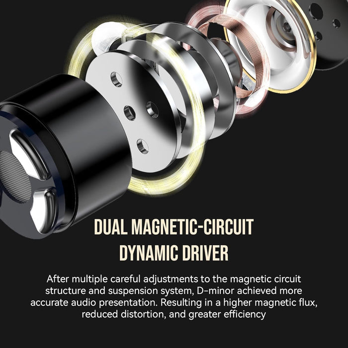 TWISTURA D-Minor IEM - The Audio Store